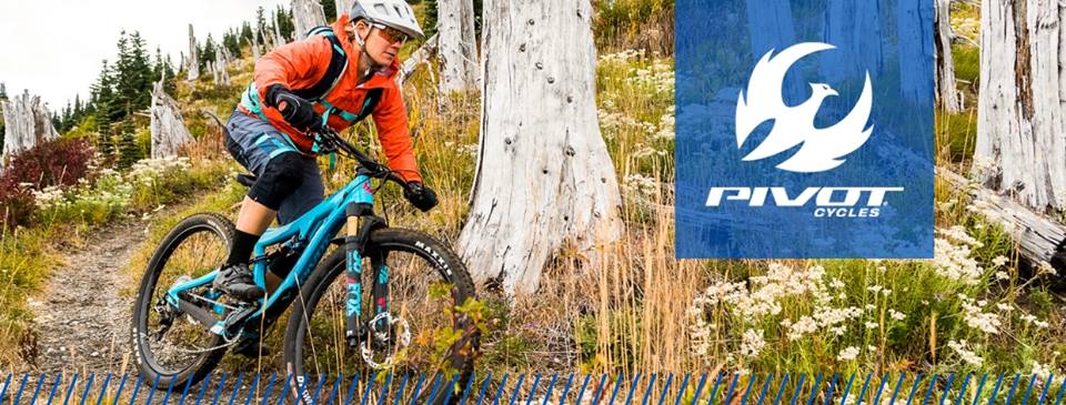 Pivot chooses Allsports as new NZ distributor