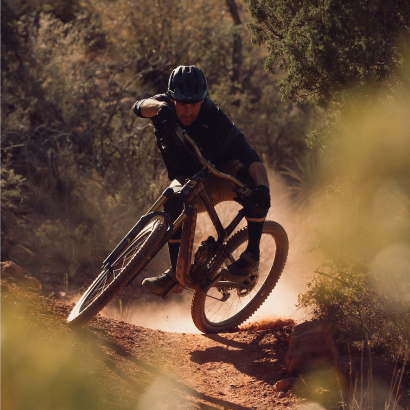 Trailcat, Switchblade, Firebird: Choosing the best analog for New Zealand?